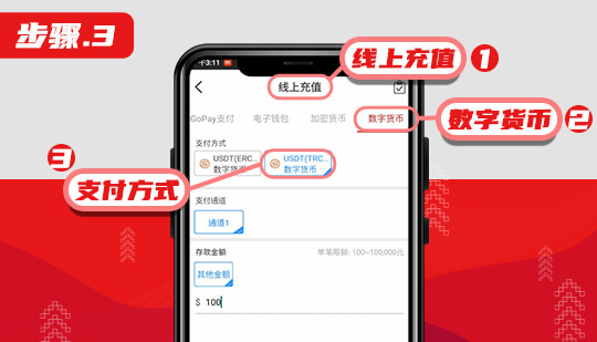 西湖+入款流程